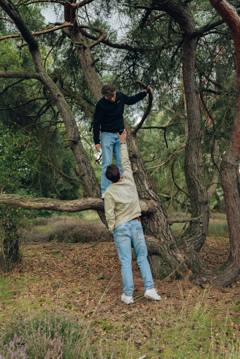 Sweaters forest
